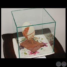 CCPA, 2008 - Obras de LOTTE SCHULZ