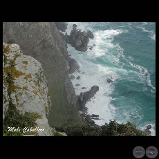 IMÁGENES DE SUDÁFRICA 2010 - Fotografías de Male Caballero