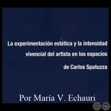 LA EXPERIMENTACIÓN ESTÉTICA Y LA INTENSIDAD VIVENCIAL DEL ARTISTA EN LOS ESPACIOS DE CARLOS SPATUZZA - Por MARÍA VICTORIA ECHAURI DE INSFRÁN - Año 2012