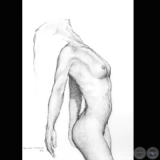DESNUDO - Dibujo a lápiz de HERNÁN MIRANDA