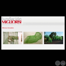 ÁREA PROTEGIDA (FUNDACIÓN RICARDO MIGLIORISI) - Instalación  de MÓNICA GONZÁLEZ