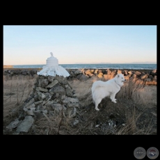 LUNDY UND HUNDI, 2012 - Intervención de PATRICIA WICH