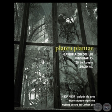 PLANTA PLANTAE [fotografías], 2015 - GABRIELA ZUCCOLILLO