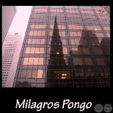 New York (Estados Unidos) - Fotografía de Milagros Pongo - Año 2009