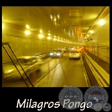 New York (Estados Unidos) - Fotografía de Milagros Pongo - Año 2009