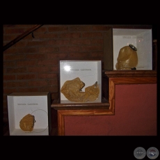CARTERISTA, 2010 - Obras de CARLO SPATUZZA