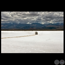 Salares Andinos - Chile (Fotografías de Roberto Dam)