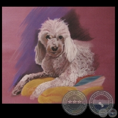 RETRATO DE CANICHE - Obra de Raquel Rojas Peña - Año 2009