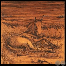 POTRILLO - Obra de Raquel Rojas Peña - Año 2009