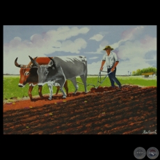 ARANDO EL CAMPO PARAGUAYO - Óleo de RUFINO CARDOZO