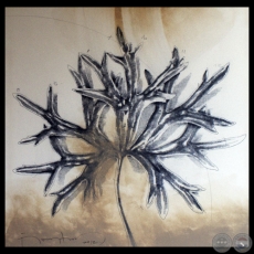 COLECCIÓN LA TERTULIA, 2013 - Obras de FÉLIX TORANZOS