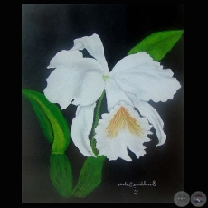 ORQUÍDEA - Obra de OSVALDINA SERVIÁN
