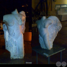 MUSA ANGELICAL