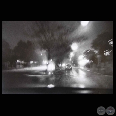 SERIE LLUVIAS Y TORMENTAS 2000-1998 - Fotografías de GABRIELA ZUCCOLILLO - Texto de LORENZO ZUCCOLILLO