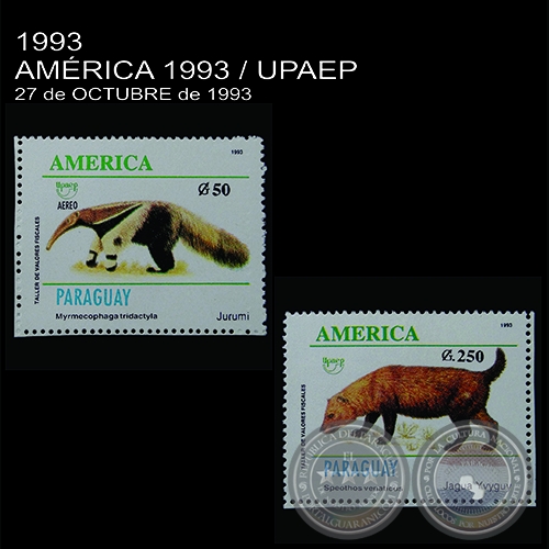 AMÉRICA 1993 / UPAEP