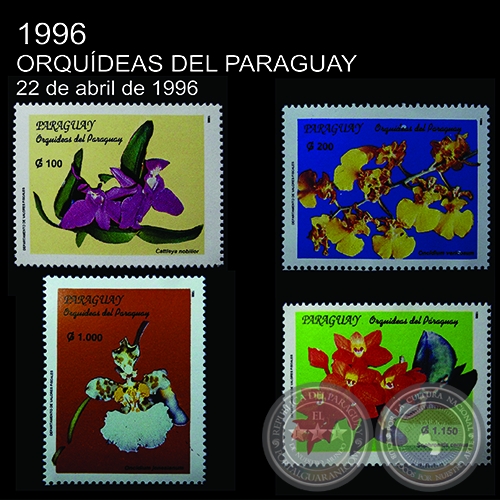 ORQUDEAS DEL PARAGUAY