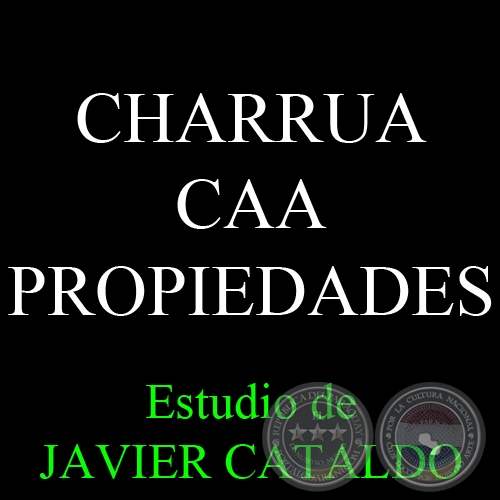 CHARRUA CAA - PROPIEDADES - Estudio de JAVIER CATALDO