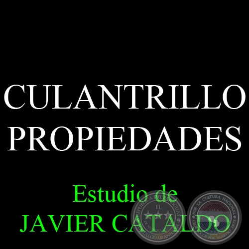 CULANTRILLO - PROPIEDADES - Estudio de JAVIER CATALDO