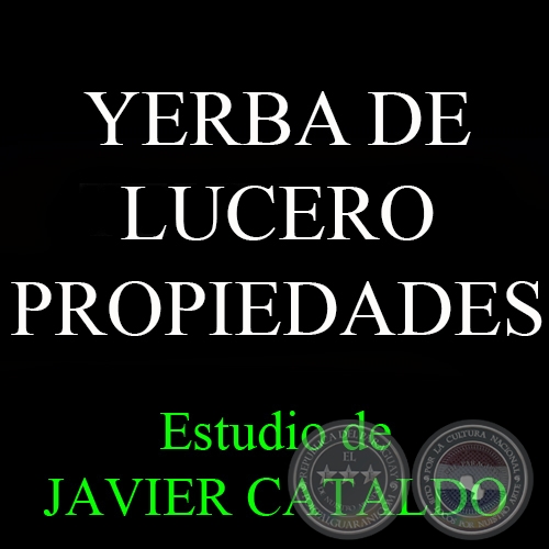 YERBA DE LUCERO - PROPIEDADES - Estudio de JAVIER CATALDO