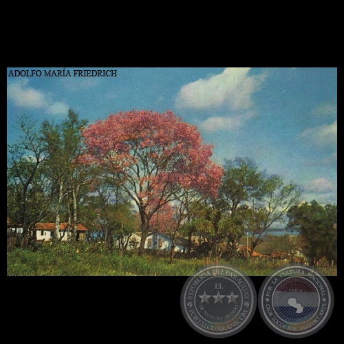 SUBURBIOS DE ENCARNACIÓN - Nº A 49 - Foto de ADOLFO MARÍA FRIEDRICH
