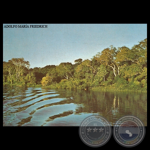RIACHO DEL RÍO PARAGUAY - Nº A 90 - Foto de ADOLFO MARÍA FRIEDRICH