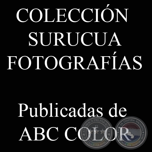 COLECCIÓN SURUCUA, Publicadas en ABC COLOR