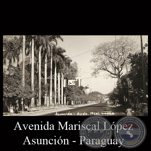 AVENIDA MARISCAL LÓPEZ (DETALLE) - TARJETA POSTAL DEL PARAGUAY