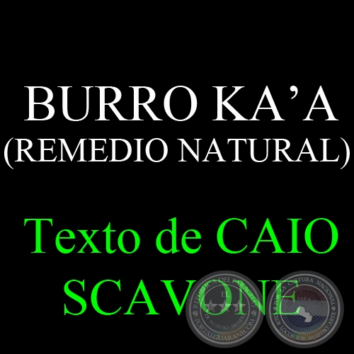 BURRO KA’A (REMEDIO NATURAL) - Texto de CAIO SCAVONE