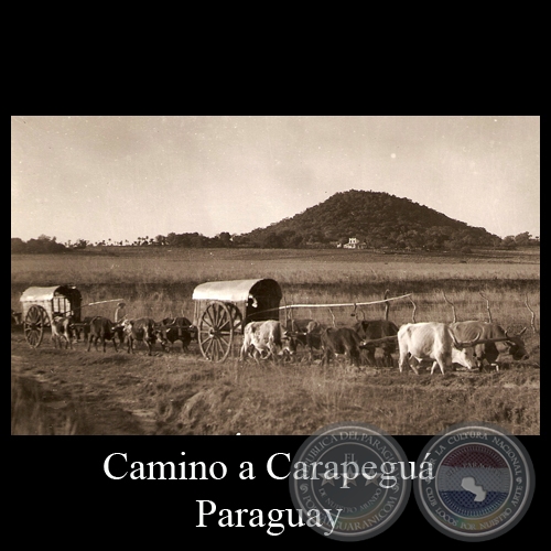 CAMINO A CARAPEGUÁ (DETALLE) - POSTAL DEL PARAGUAY