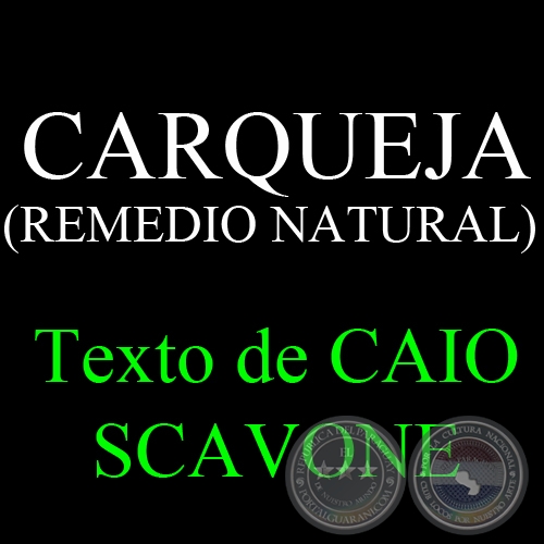 CARQUEJA (REMEDIO NATURAL) - Texto de CAIO SCAVONE