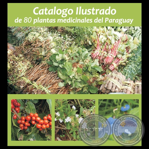 CATALOGO ILUSTRADO DE 80 PLANTAS MEDICINALES DEL PARAGUAY