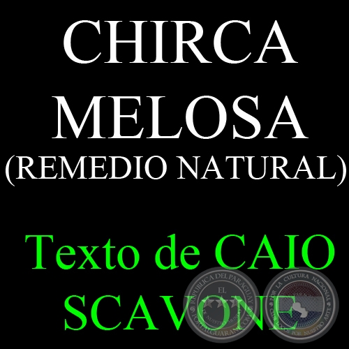 CHIRCA MELOSA (REMEDIO NATURAL) - Texto de CAIO SCAVONE