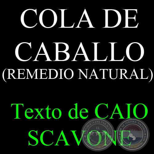 COLA DE CABALLO (REMEDIO NATURAL) - Texto de CAIO SCAVONE