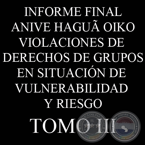 VIOLACIONES DE DERECHOS DE GRUPOS EN SITUACIN DE VULNERABILIDAD Y RIESGO - INFORME FINAL - TOMO 3 - COMISIN DE VERDAD Y JUSTICIA, PARAGUAY