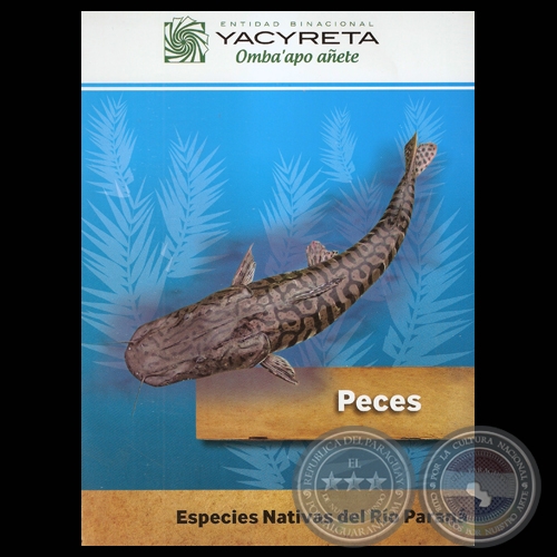 DESCRIPCIÓN DE PECES – COLECCIÓN ZOOLÓGICA, REFUGIO FAUNÍSTICO ATINGUY