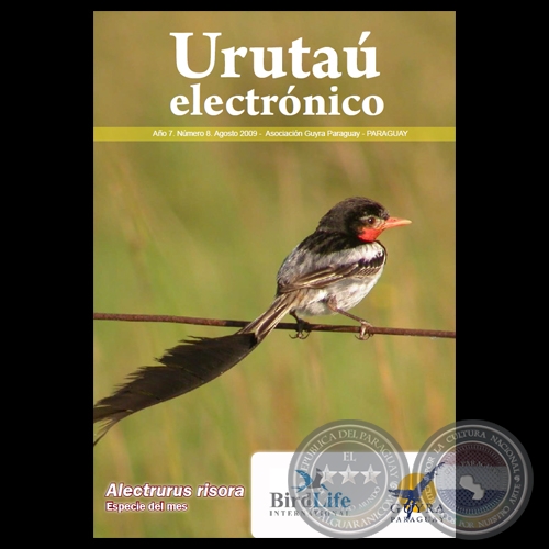 EL URUTAU ELECTRÓNICO - AGOSTO 2009 - AÑO 7, NÚMERO 8 - ASOCIACIÓN GUYRA PARAGUAY