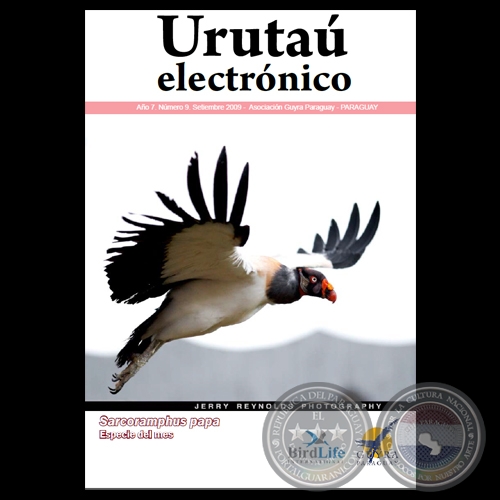 EL URUTAU ELECTRÓNICO - SETIEMBRE 2009 - AÑO 7, NÚMERO 9 - ASOCIACIÓN GUYRA PARAGUAY