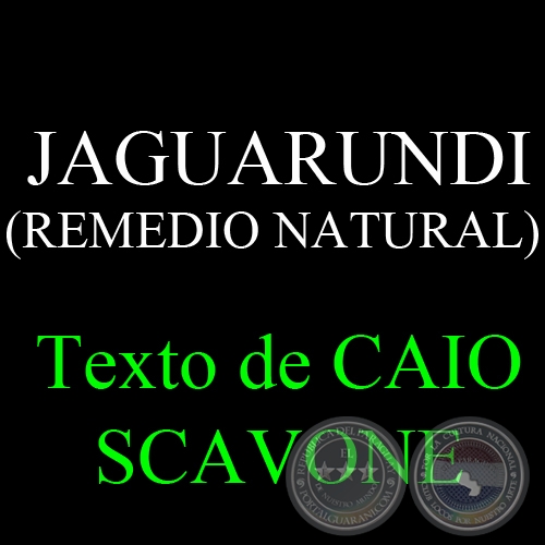 JAGUARUNDI (REMEDIO NATURAL) - Texto de CAIO SCAVONE