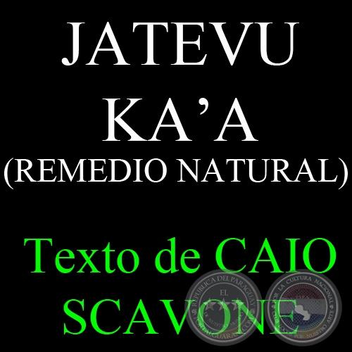 JATEVU KA’A ( REMEDIO NATURAL) - Texto de CAIO SCAVONE