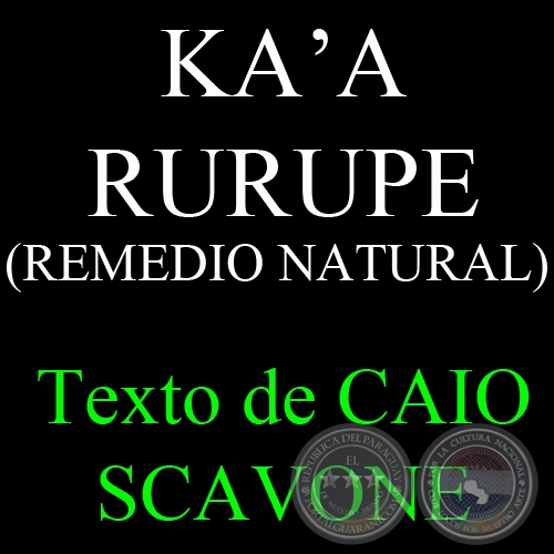 KA’A RURUPE (REMEDIO NATURAL) - Texto de CAIO SCAVONE
