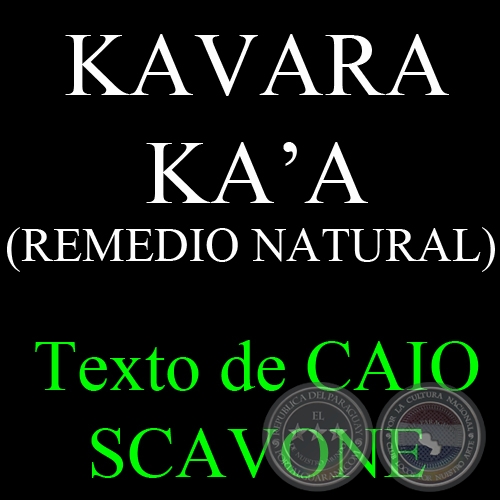 KAVARA KA’A (REMEDIO NATURAL) - Texto de CAIO SCAVONE