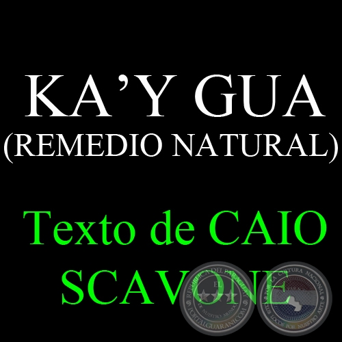 KA’Y GUA (REMEDIO NATURAL) - Texto de CAIO SCAVONE