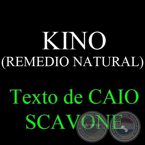 KINO (REMEDIO NATURAL) - Texto de CAIO SCAVONE