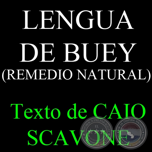 LENGUA DE BUEY (REMEDIO NATURAL) - Texto de CAIO SCAVONE