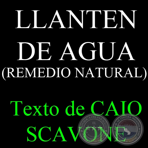 LLANTEN DE AGUA (REMEDIO NATURAL) - Texto de CAIO SCAVONE
