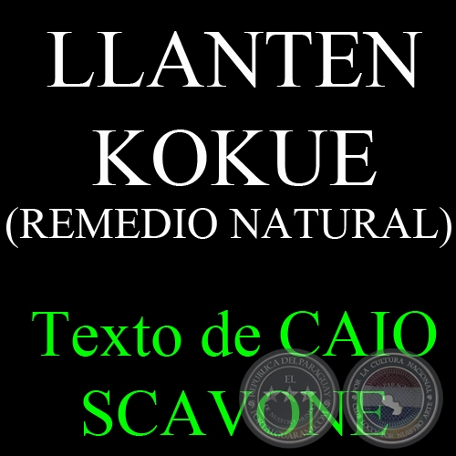 LLANTEN KOKUE (REMEDIO NATURAL) - Texto de CAIO SCAVONE