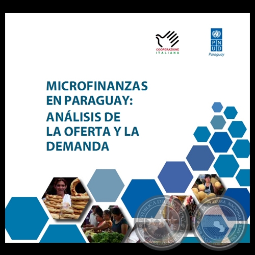 MICROFINANZAS EN PARAGUAY, 2010 - ANÁLISIS DE LA OFERTA Y LA DEMANDA