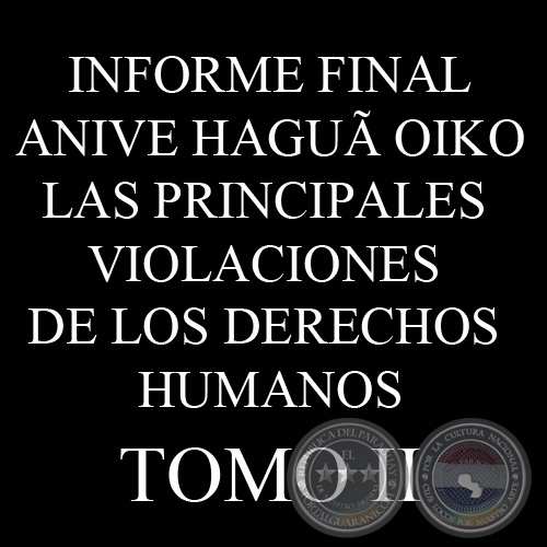 LAS PRINCIPALES VIOLACIONES DE LOS DERECHOS HUMANOS - INFORME FINAL - TOMO 2 - COMISIN DE VERDAD Y JUSTICIA, PARAGUAY