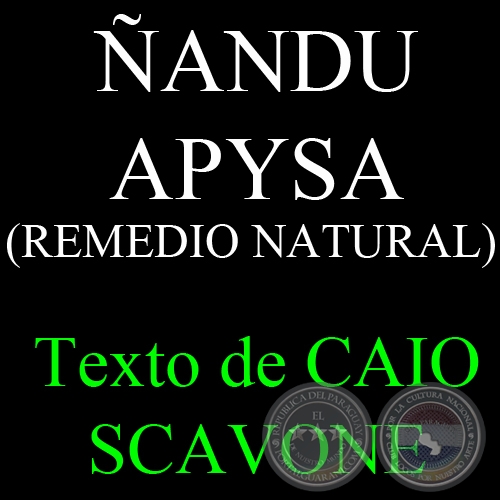 ÑANDU APYSA ( REMEDIO NATURAL) - Texto de CAIO SCAVONE