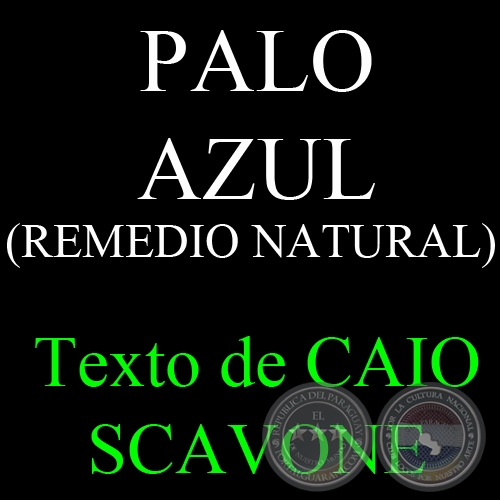 PALO AZUL ( REMEDIO NATURAL) - Texto de CAIO SCAVONE